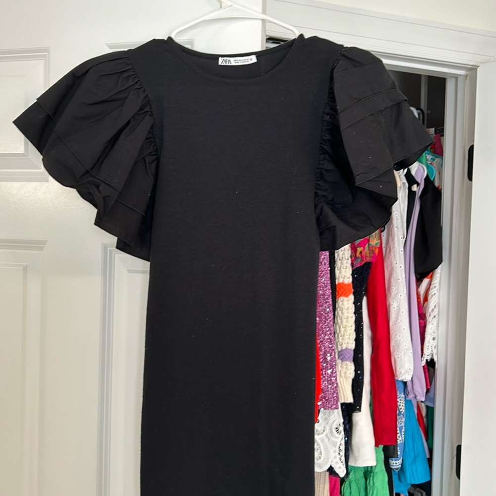 Zara Ruffle Sleeve Mini Dress